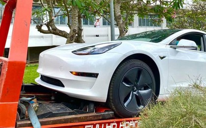 Trường ĐH ở Sài Gòn chơi lớn chi tiền tỷ mua xe ô tô điện Tesla của Elon Musk về cho sinh viên thực hành