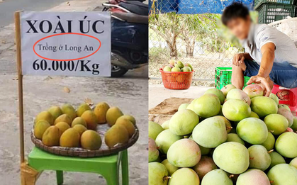 Thấy bảng ghi xoài Úc 60 ngàn 1 ký, khách tấp vào xem thì suýt ngã xe vì dòng chữ in nhỏ phía dưới