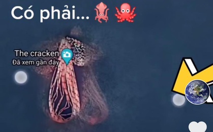Sự thật phía sau hình ảnh bạch tuộc khổng lồ mà Google Maps chụp được đang gây xôn xao TikTok