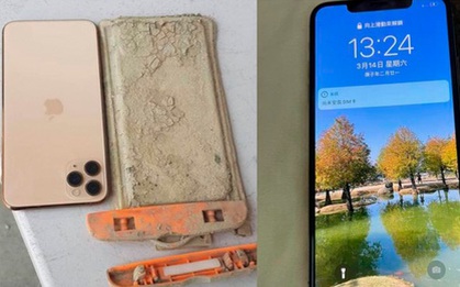iPhone 11 Pro Max hoạt động bình thường sau 1 năm lặn dưới đáy hồ ngập bùn