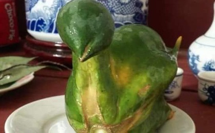 Quả đu đủ "hiếm thấy nhất Việt Nam", uốn éo thành hình nguyên con gà luộc, nhiều người bảo phải chi nhân được giống thì mỗi dịp cúng kiếng đắt khách phải biết