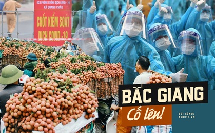 Netizen cả nước hướng về Bắc Giang: Bắc Giang cố lên! Vải thiều cố lên!