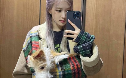 Rosé (BLACKPINK) được netizen khen hết sức dễ thương chỉ vì soi ra điểm này trên Instagram