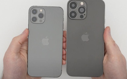 Lộ diện bản mẫu iPhone 13: Camera "siêu to khổng lồ", thiết kế không khác biệt