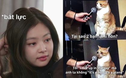 Giải mã bộ ảnh nghìn share "vì sao Gen Z ly hôn": Quả thật khoảng cách xa nhất là từ fan Kpop đến non-fan Kpop, Gen Y cũng "bó tay"
