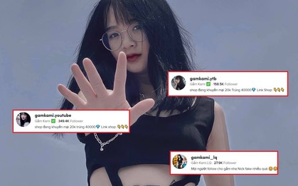 Nữ streamer gần 7 triệu lượt follow TikTok bị giả mạo tài khoản hàng loạt, thậm chí bị lợi dụng hình ảnh để lừa đảo