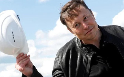 Chán làm giá Bitcoin, Elon Musk tweet nhắc tới bài hát tỷ view Baby Shark, cổ phiếu công ty chủ quản lập tức tăng