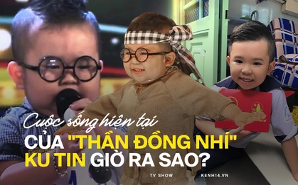 "Hiện tượng" Ku Tin sau 6 năm nổi tiếng: Ngừng chạy show, thành tích học tập không phải dạng vừa!