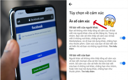 Facebook chính thức cho ẩn số like