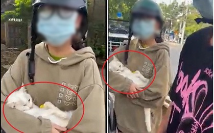 Lời gan ruột của CSGT bị "tấn công" trên MXH vì phạt người đưa mèo đi khám giữa lúc giãn cách