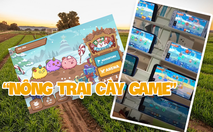 Thay vì cày view cho các idol, giờ đây còn có cả "trang trại" cày tiền cho game mobile