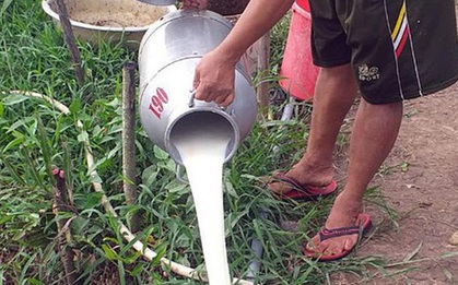 Hàng loạt doanh nghiệp đồ uống, sữa, nước giải khát "kêu cứu" Bộ Công Thương vì "không phải hàng thiết yếu"