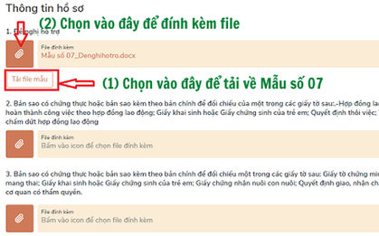 Cách nộp hồ sơ online nhận hỗ trợ Covid-19 khi không đủ điều kiện nhận trợ cấp thất nghiệp
