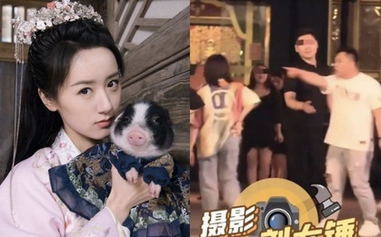 Phốt căng Cbiz: Lạc mất lợn ở quán ăn, mỹ nhân Viên Băng Nghiên sai hơn 10 trợ lý đi tìm, cãi nhau to với người qua đường