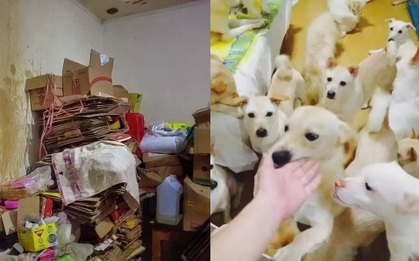 Bỏ việc lương 70 triệu/tháng để ở lì trong nhà suốt 6 năm, cảnh tượng bên trong căn hộ của người phụ nữ khiến dân tình sửng sốt, hàng xóm chỉ biết than trời