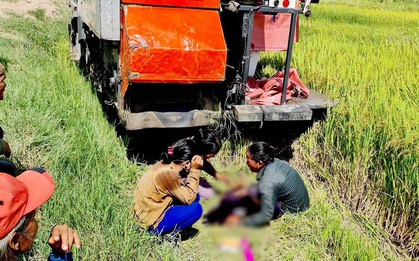 Chạy sau máy cắt lúa để bắt chuột đồng, bé trai 9 tuổi bị cán tử vong