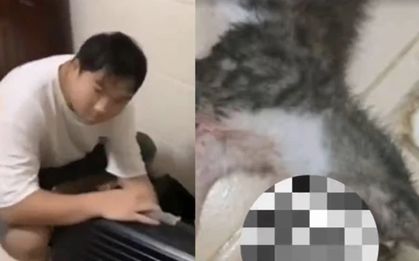 Gã đàn ông nhận nuôi mèo để tống tiền, ép đối phương gửi ảnh khỏa thân, số phận thê thảm của con vật gây ám ảnh cộng đồng mạng