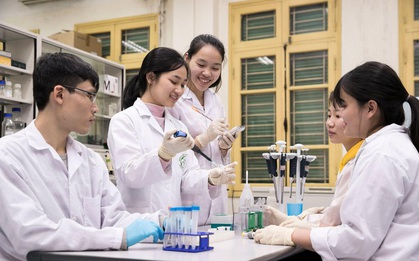 Giáo dục đại học Việt Nam có 6 lĩnh vực lọt bảng xếp hạng quốc tế