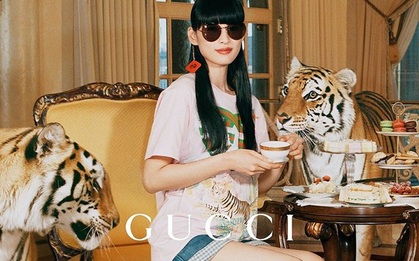 Thương hiệu xa xỉ Gucci gây tranh cãi vì dùng hổ thật quay quảng cáo