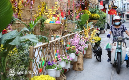 Mùi của Tết đã len lỏi vào từng con hẻm ở trung tâm TP.HCM, khi người dân góp tiền để làm những "đường hoa mini"