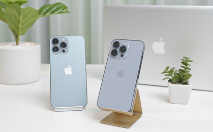 Nhiều mẫu iPhone giảm mạnh dịp cận Tết: iPhone 12, iPhone 13 đang có giá rẻ chưa từng thấy!