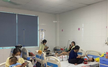 Hà Nội có hơn 170 ổ dịch sốt xuất huyết đang hoạt động