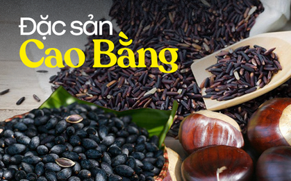Những món đặc sản Cao Bằng nhất định phải mua về làm quà cho người ở nhà