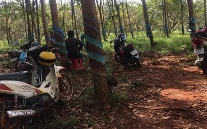 Bình Phước: Phát hiện kinh hoàng trong rẫy cà phê