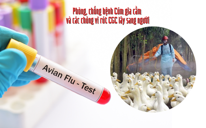 Bé gái nhiễm cúm A (H5): Gia đình từng tự giết mổ gia cầm ốm để ăn