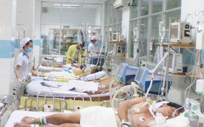 TP.HCM: 29 người chết vì sốt xuất huyết, 113 ổ dịch trong cộng đồng