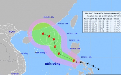 Tin bão Nalgae mới nhất: Di chuyển nhanh, giật cấp 12