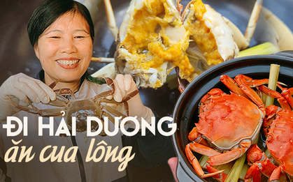 Hải Dương có một món cua đặc biệt khi ở nước ngoài chỉ dành cho giới nhà giàu và sành ăn, về đây chỉ 300k ăn mệt nghỉ
