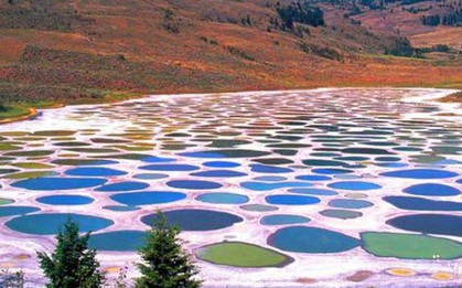 Tại sao hồ "Polka Dot" của Canada có thể là một hồ bơi có khả năng chữa bệnh