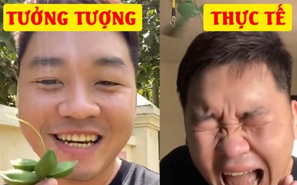 Giới trẻ rủ nhau thử bàng non - món tuổi thơ của thế hệ 8x, 9x và phản ứng gây bất ngờ