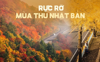 Vẻ đẹp mộng mơ của mùa thu Nhật Bản, xem xong chỉ muốn xách vali lên đường
