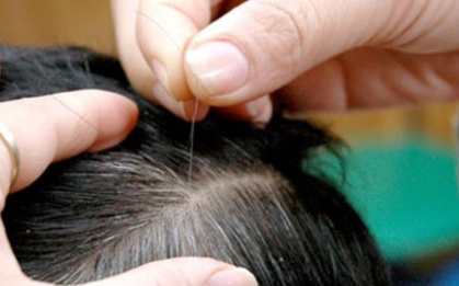 Ngày càng nhiều tóc trắng, có nên nhổ hay không? Sau 35 tuổi, nhất định phải lưu ý 2 điều mới tránh xa nguy cơ tóc bạc sớm