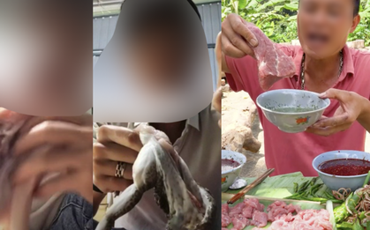 Ăn cả ếch sống, bạch tuộc sống: Báo động tình trạng câu view bất chấp của nhiều TikToker hiện nay