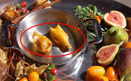 2 món ăn của giới nhà giàu gây phẫn nộ vì cách làm quá tàn nhẫn