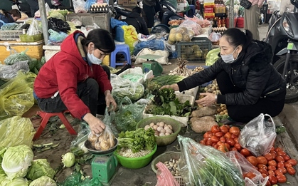 Rét đậm, nguồn cung khan hiếm khiến giá rau xanh tăng mạnh