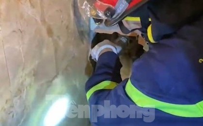 Phá tường giải cứu tên trộm bị mắc kẹt trong lối thoát hơi ở Bình Dương
