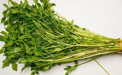 Rau cần có nhiều lợi ích nhưng những người sau nên tránh xa tuyệt đối