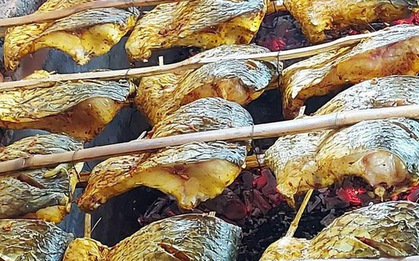 Cỗ cá nướng quê nhà