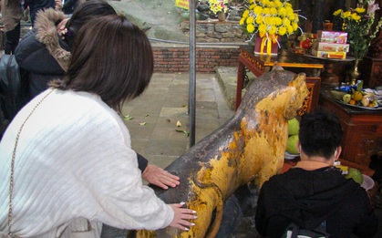 Du khách thi nhau xoa đầu tượng "thần hổ" ở chùa Hương, cầu mong bách bệnh tiêu tan