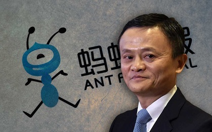 Cây muốn lặng, gió chẳng dừng - tỷ phú Jack Ma lại bị sờ gáy?