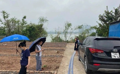 Nghỉ Tết nhà đầu tư vẫn đi "săn đất"