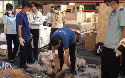 Gần 45kg bong bóng cá sửu Macdonald "ẩn mình" trong lớp cá đông lạnh