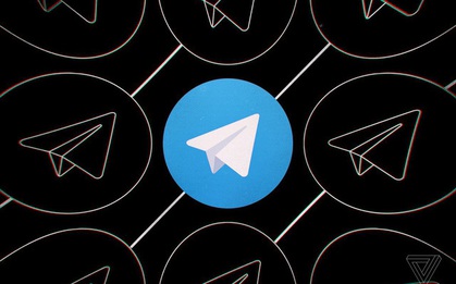 Quên kiểm tra email, Telegram bị Brazil cấm cửa