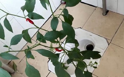 Quay lại ký túc xá sau 8 tháng, nam sinh dở khóc dở cười vì cảnh tượng trong nhà vệ sinh