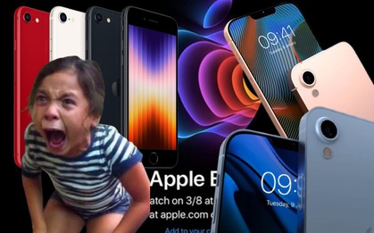 iPhone giá rẻ của Apple vừa ra mắt khiến nhiều người thất vọng, màu sắc nhàm chán, cạnh viền bo tròn như iPhone "đời Tống"?