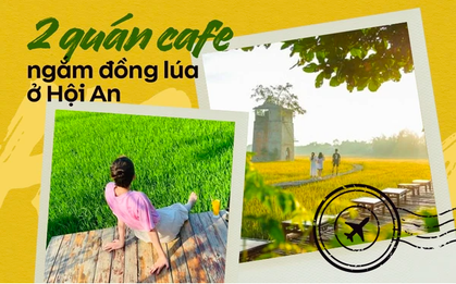 Đi cafe "chill" như ở Hội An: Bàn ghế đặt giữa đồng lúa, tha hồ chụp ảnh check-in trong khung hình đẹp như phim